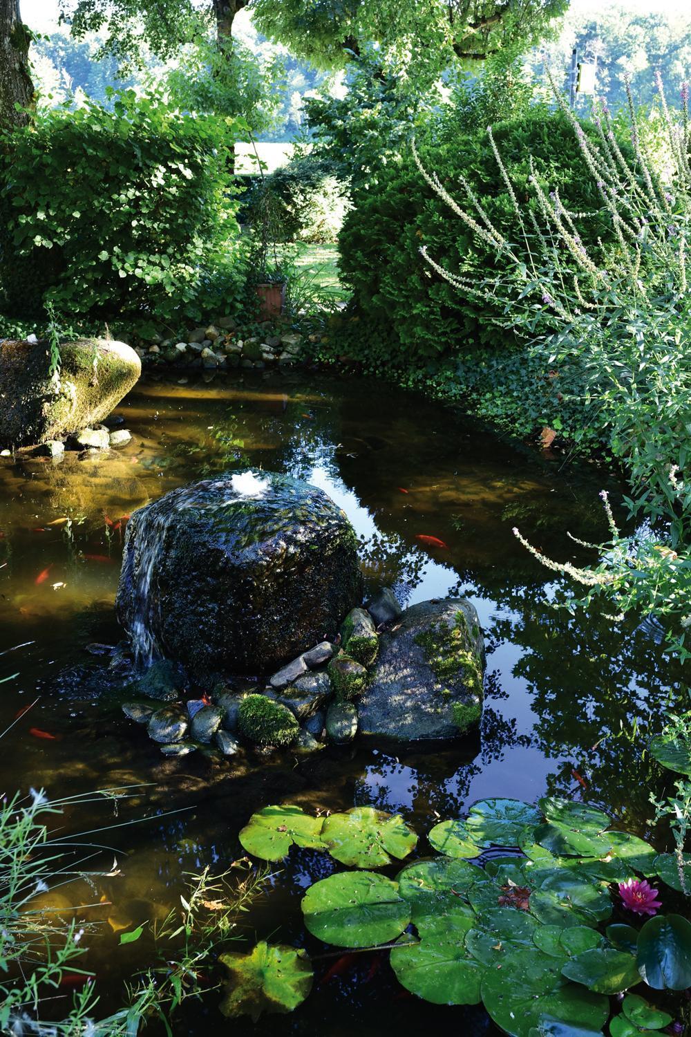 Restaurant Logis Sundgovienne Hotel