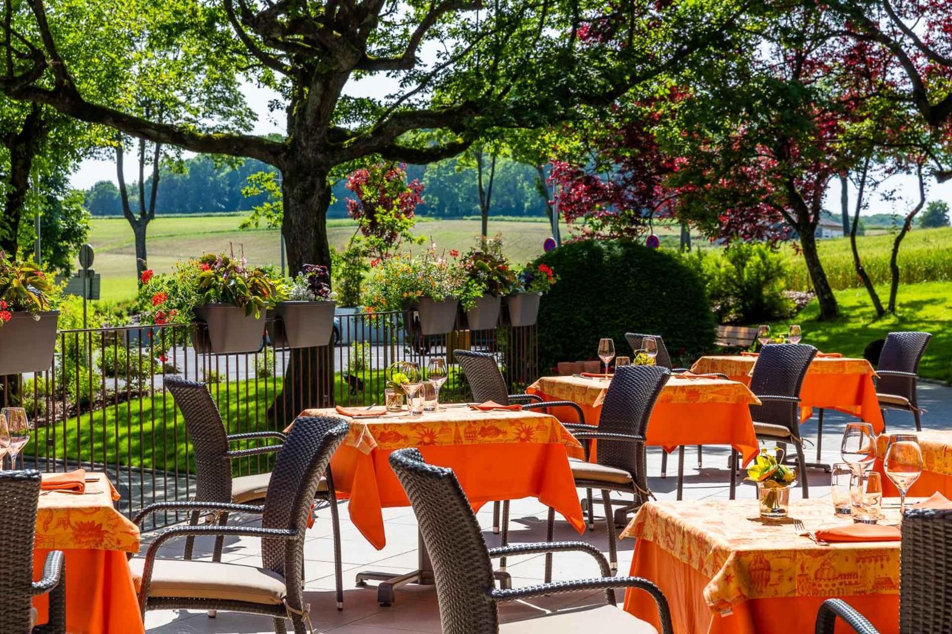 Hotel Restaurant Logis Sundgovienne Carspach